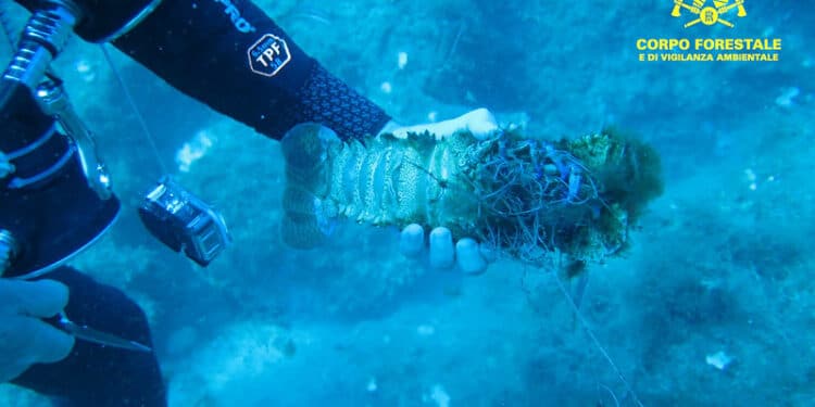 La Forestale sequestra le reti abusive nell’area protetta di Villasimius: intrappolati dentici e cicale
