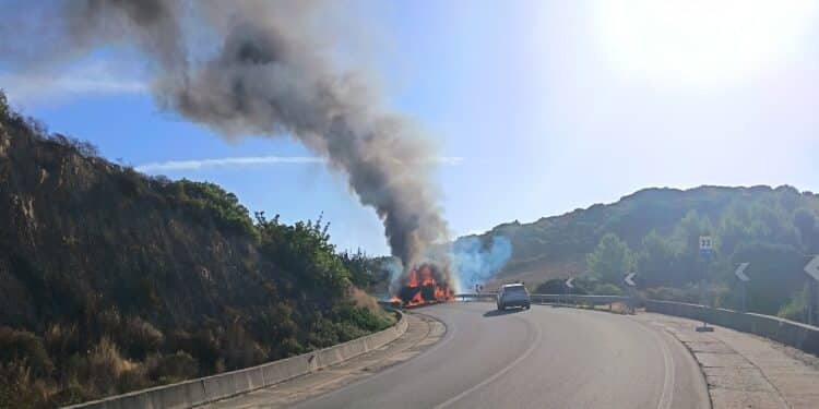 Assalto al portavalori, grave incendio sulla Ss 387: strada chiusa, una pineta in fiamme