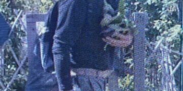 Selargius, svuotava gli orti dei pensionati: ladro di melanzane incastrato dalle telecamere