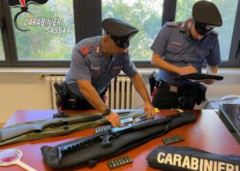 Spara al proprio cane con una carabina, un uomo denunciato a Stintino