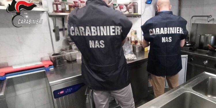 Sestu, blitz dei Nas alla festa di San Gemiliano: muffa, infestanti e frigoriferi inidonei in un chiosco-bar