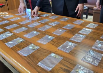 Mogoro, ricettatrice seriale individuata nel Ferrarese: si era resa irreperibile dopo decine di furti in Sardegna