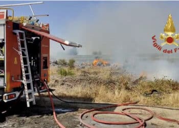 Quartu, grosso incendio sulla provinciale 17: in fiamme vegetazione, cumuli di stoppie e ramaglie (VIDEO)