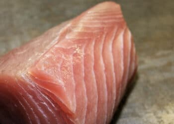 Undici ricoverati a Cagliari dopo il pranzo al tonno, gli esperti: “Sindrome sgombroide, i ristoratori stiano attenti”