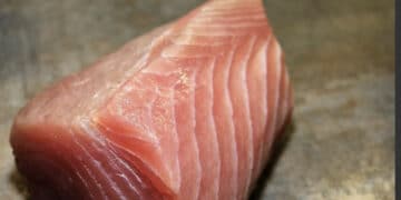 Undici ricoverati a Cagliari dopo il pranzo al tonno, gli esperti: “Sindrome sgombroide, i ristoratori stiano attenti”