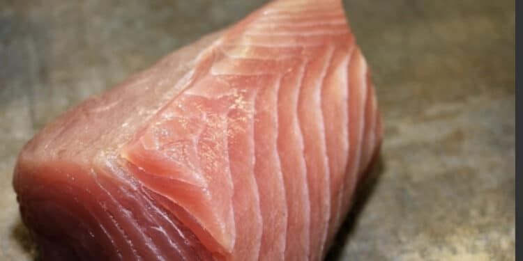 Undici ricoverati a Cagliari dopo il pranzo al tonno, gli esperti: “Sindrome sgombroide, i ristoratori stiano attenti”