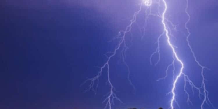 Viene colpito da un fulmine mentre dà il cibo al cane: morto 65enne