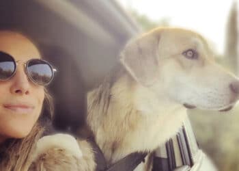 Cerca per mesi il suo cane che le era stato rubato: Elena muore a 30 anni prima di riuscire a ritrovarlo