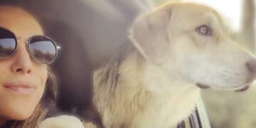 Cerca per mesi il suo cane che le era stato rubato: Elena muore a 30 anni prima di riuscire a ritrovarlo