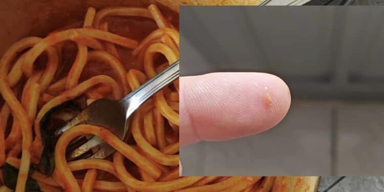 Quartucciu, spaghetti ai vermi acquistati e mangiati da una famiglia: “Querela subito”