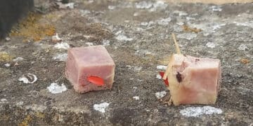 Guspini, bocconi di prosciutto cotto con schegge di vetro e alluminio al loro interno: scatta la denuncia