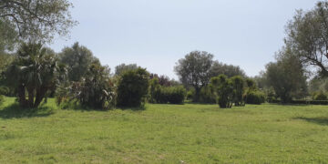 Tragedia al parco, bimbo di 3 anni e mezzo muore schiacciato da una trave