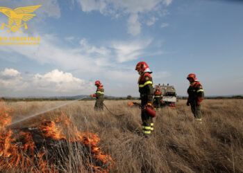 Incendio boschivo a San Gavino Monreale, evacuata un’abitazione a S’arrideli