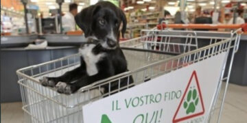 Introduzione dei cani nei supermercati di Cagliari: il web si divide tra libertà d’impresa e convivenza civile