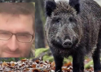 Cacciatore colpisce per sbaglio l’amico, morto un 46enne