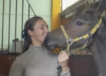 Istruttrice equestre cade da cavallo, Carola muore a 24 anni