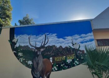 Inaugurata nell’Istituto comprensivo di Uta l’Aula Natura