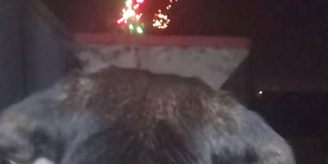 Sarroch, festa del patrono senza i fuochi d’artificio e i cittadini si dividono