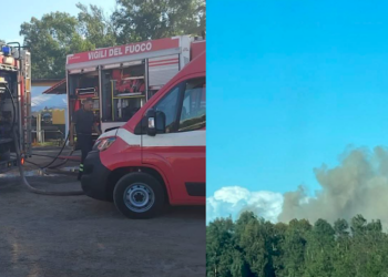 Arborea, incendio al maneggio: morti 6 cavalli e un puledrino