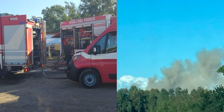 Arborea, incendio al maneggio: morti 6 cavalli e un puledrino