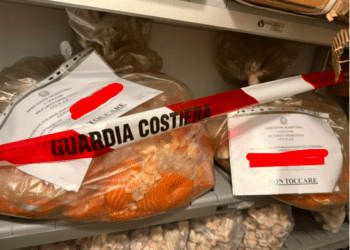 Chili di pesce privo di tracciabilità, sanzioni e sequestri in due ristoranti tra Cagliari e Quartu