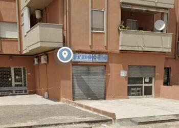 Quartu, addio a Enayat Besharati il dottore degli animali: è lui la vittima del gravissimo incidente