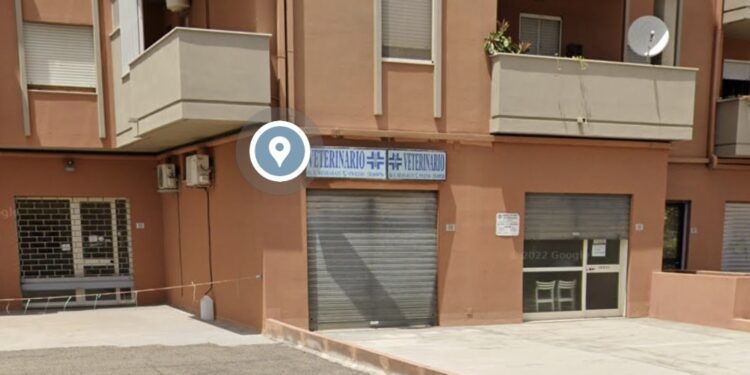 Quartu, addio a Enayat Besharati il dottore degli animali: è lui la vittima del gravissimo incidente