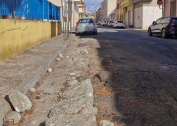 Quartu, strade devastate dalle radici degli alberi, Fdi: “Sopralluogo tecnico urgente e messa in sicurezza delle aree”