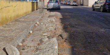 Quartu, strade devastate dalle radici degli alberi, Fdi: “Sopralluogo tecnico urgente e messa in sicurezza delle aree”