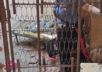 Iglesias, cani maltrattati e abbandonati: salvati dai carabinieri, denunciato 31enne