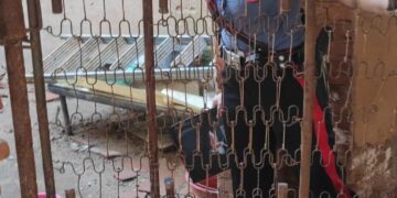 Iglesias, cani maltrattati e abbandonati: salvati dai carabinieri, denunciato 31enne