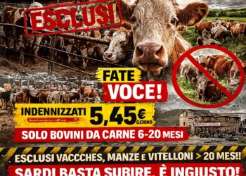 Il Centro Studi Agricoli attacca: “Indennizzi farsa per la dermatite, esclusi la maggior parte dei capi bovini sardi”