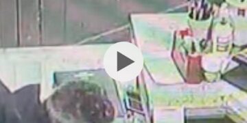 Il pizzaiolo Luciano Auriemma scopre il ladro nel locale e lo invita e rendere i soldi