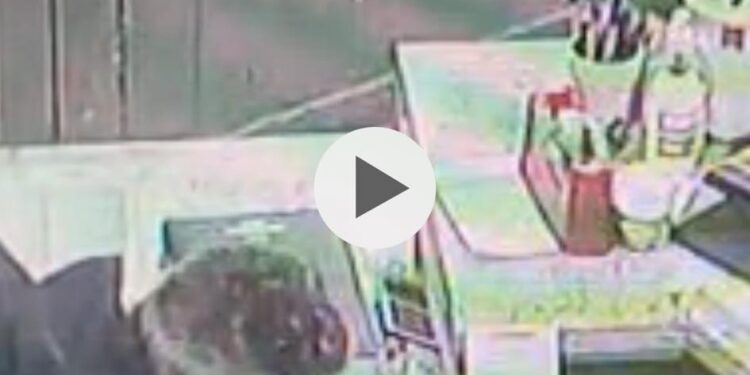 Il pizzaiolo Luciano Auriemma scopre il ladro nel locale e lo invita e rendere i soldi