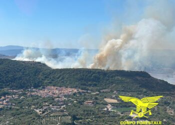 Domenica con 32 incendi in Sardegna, i piromani non vanno in ferie: maxi rogo a Thiesi