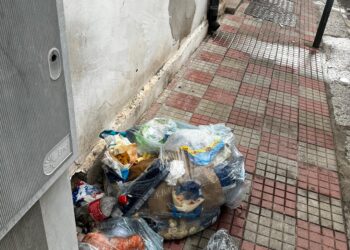 Cagliari, topi e blatte fra l’immondizia abbandonata in via Col del Rosso: “Cibo avariato che fuoriesce sul marciapiede”