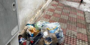 Cagliari, topi e blatte fra l’immondizia abbandonata in via Col del Rosso: “Cibo avariato che fuoriesce sul marciapiede”