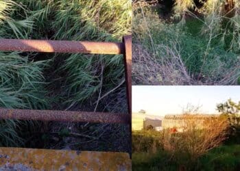 Assemini, dalle fiamme alle alluvioni azienda agricola costantemente minacciata: sotto accusa un canale (VIDEO)