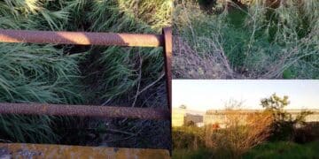 Assemini, dalle fiamme alle alluvioni azienda agricola costantemente minacciata: sotto accusa un canale (VIDEO)