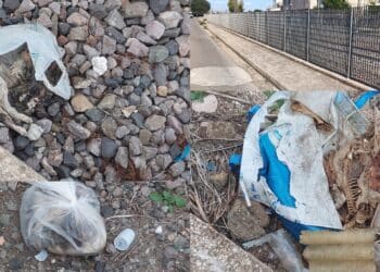 Uccisi, chiusi nelle buste e gettati in mezzo ai binari: triste sorte di cani e gatti a Serramanna