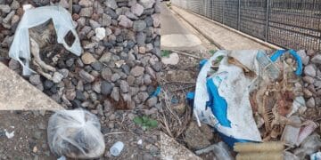 Uccisi, chiusi nelle buste e gettati in mezzo ai binari: triste sorte di cani e gatti a Serramanna