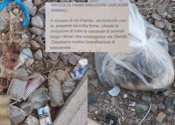 Cani e gatti uccisi e lasciati in buste di plastica vicino ai binari, si ipotizza un serial killer di animali a Serramanna