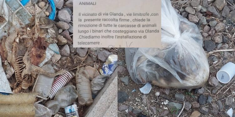 Cani e gatti uccisi e lasciati in buste di plastica vicino ai binari, si ipotizza un serial killer di animali a Serramanna