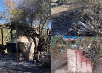 Serdiana, colonie feline prese di mira dai vandali: incendiati ripari e cucce