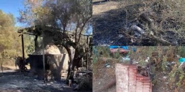 Serdiana, colonie feline prese di mira dai vandali: incendiati ripari e cucce