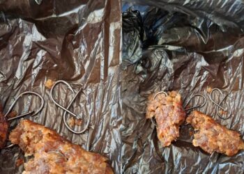 Pula, esche mortali per cani e gatti: rinvenute polpette con pezzi di metallo