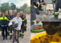 Carbonia, vigili del fuoco in azione per salvare un gatto intrappolato nelle tubature dell’acqua