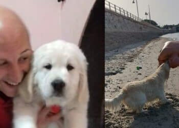 Colpito da un attacco d’asma fatale, Quartu sotto shock per Emiliano Murgia