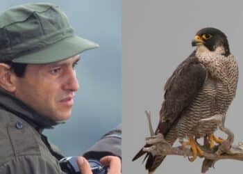 La Sardegna perde uno dei suoi più grandi fotografi della natura: addio a Michele Santona