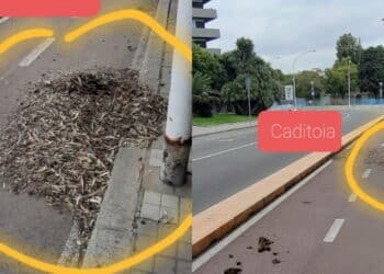 Cagliari, caditoie sommerse da foglie e detriti: preoccupazione tra via dei Tritoni e via del Sole